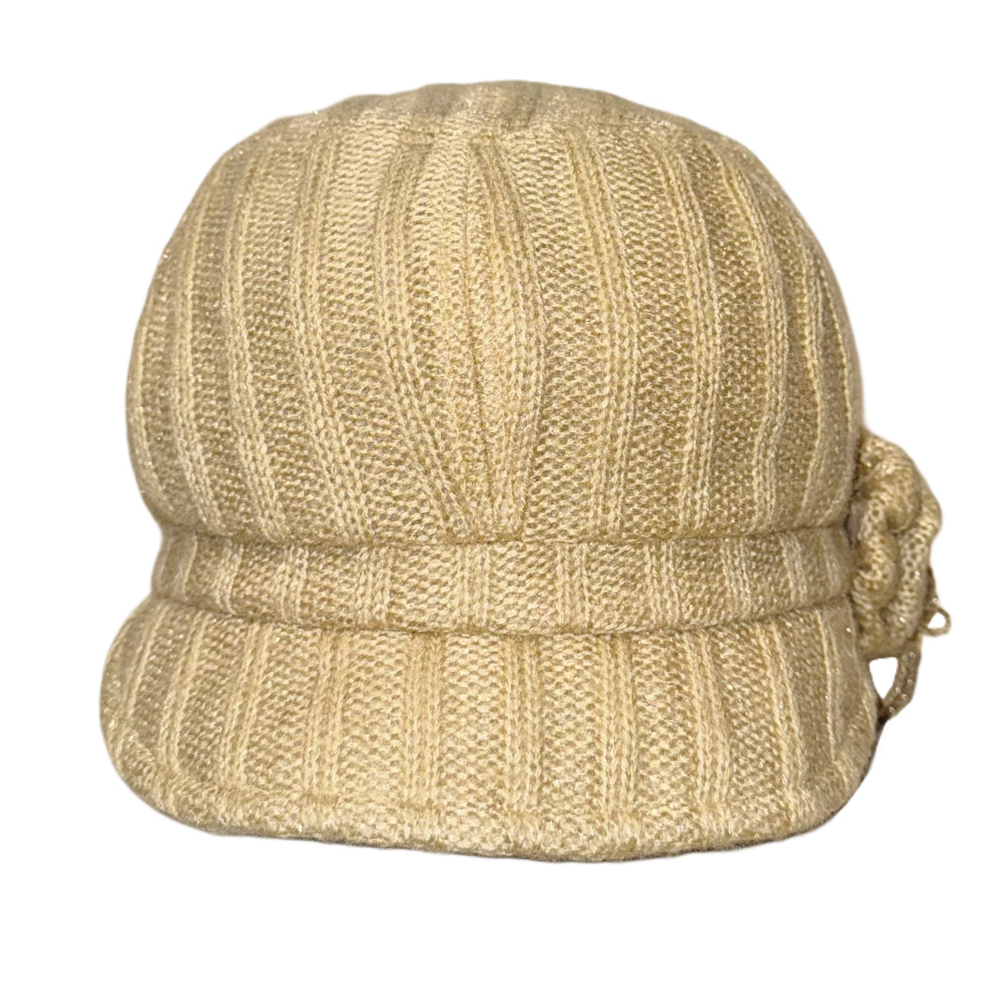 Gold sparkly knit hat